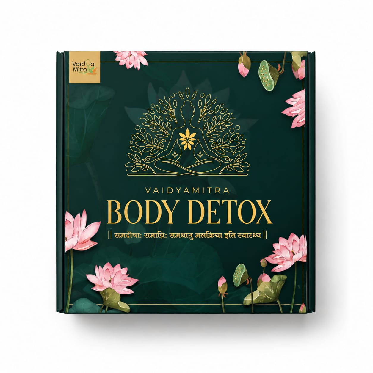 Body Detox personalised kit
